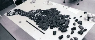 Fossil firre förvånar forskare
