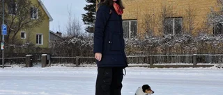 Är din hund rädd för fyrverkerier?