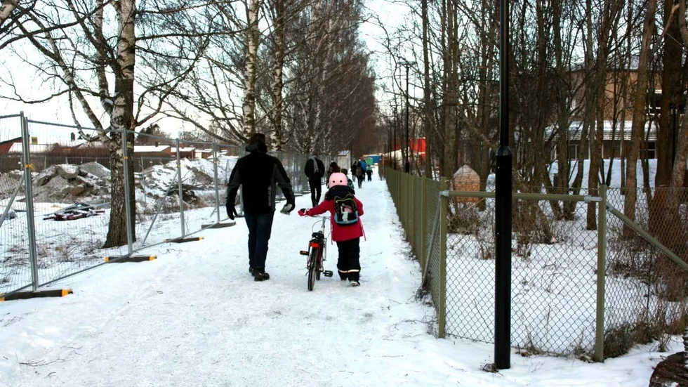 Skolvägen. Ett smärre lämmeltåg på väg till nya skolan.