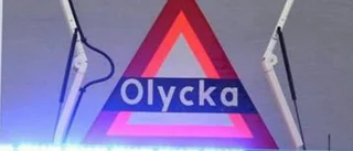 Bilist i krock med älg
