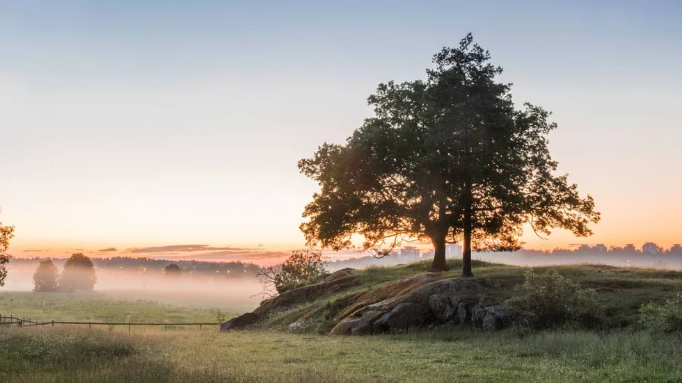 Vinnarbild. "Dimma över Hågadalen" blev årets vinnare i UNT:s sommarbildstävling.