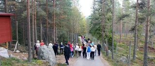 Länets företagare på plats i Järvsö