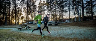 Vårkänslor i juletid