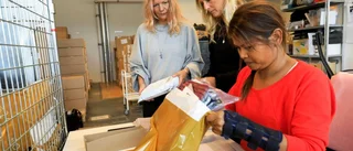 De firar tio år av sociala säljpartyn