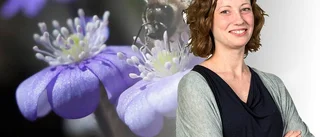Alla barn borde ha en hemlig trädgård