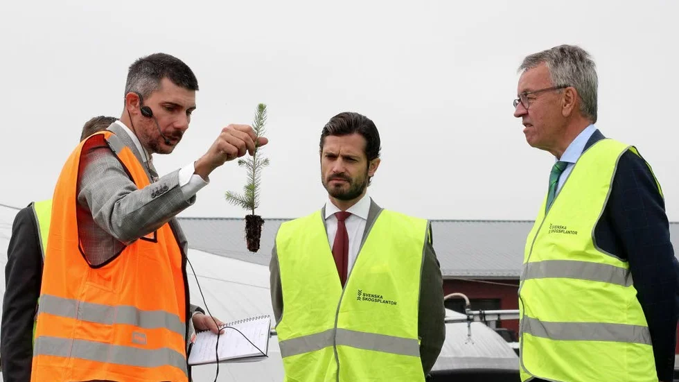 Stefan Ivarsson, Stefan Ivarsson, platschef vid Lugnet, och Per-Olof Wedin, VD för Sveaskog, diskutérade skogsplantor med prins Carl Philip.