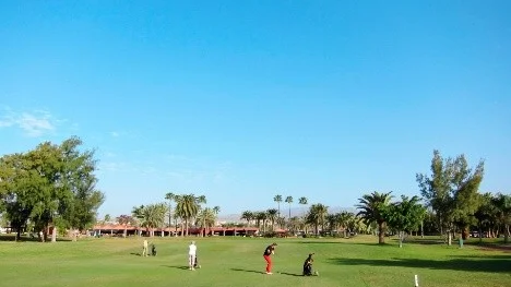 Chanserna till en bra score är goda på Maspalomas platta och relativt enkla bana.