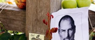Jobs - den älskvärde skitstöveln