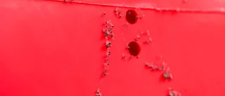 Bladlöss invaderar centrala Uppsala
