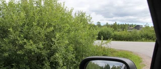 Sikten vid badet i Mehedeby obefintlig