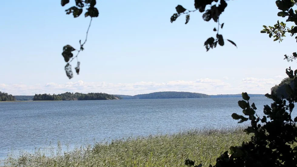 Vattentäkt. Den årliga miljöövervakningen av Mälaren är viktig.