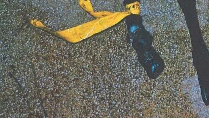 ”Det måste anses gränsa till uppenbart att det måste ha varit plågsamt för djuret att under så lång tid gått med ett obehandlat benbrott”, menar tingsrätten i domen.