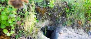 Mysteriet: Svalorna överger Kyrkbyn