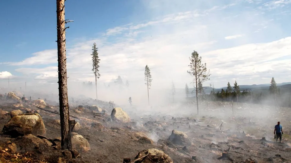 Under måndagen brann det på sju olika platser i Norrbotten. Nu går länsstyrelsen ut med ett eldningsförbud i hela länet.
