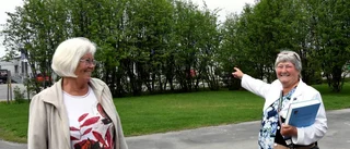 "Jag vill visa en svensk släkts historia"