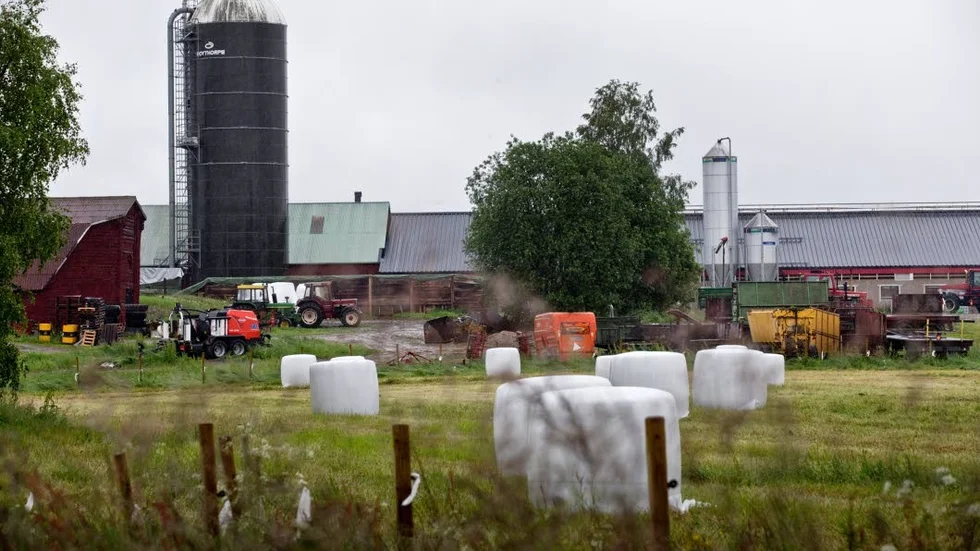 Optimism trots bottenläge i produktion. Så ser läget ut bland länets bönder.