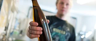 Här är Kalix första mikrobryggeri
