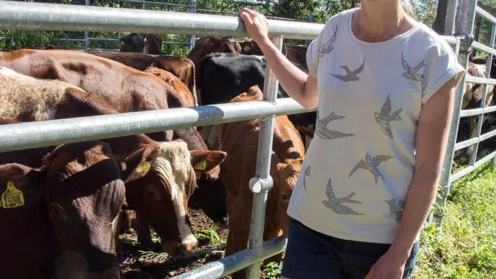 "Ur lönsamhetssynpunkt är det inte roligt att tvingas gå ner i antal djur. Men jag har inte tillräckligt med foder. Gräset växer inte", säger mjölkbonden Linnea Larsson, Ängesbyn.