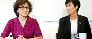 Mona Sahlin kräver insatser mot extremism