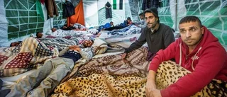 Palestinier fick uppehållstillstånd