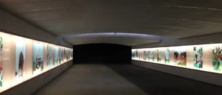 Ny cykeltunnel invigd