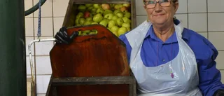 Ta tillvara äpplena - gör must