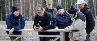 Dikesskötsel viktigt för åker och miljö