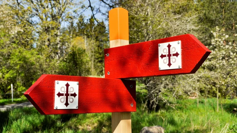 Vikingaleden kallas den del av St Olavs Waterway som går mellan Grisslehamn och Älvkarleby. Totalt består den av 180 kilometer vandringsled, varav 63 kilometer är nya leder som binder samman Roslagsleden med Upplandsleden.