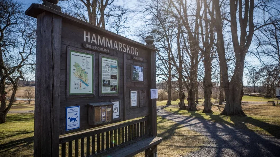 För att snickeriet i Hammarskog ska kunna överleva behöver man komma ur djupa hjulspår, skriver Hilding Djerf.