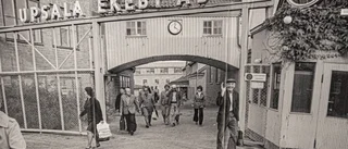 Han skriver Uppsalas dolda historia
