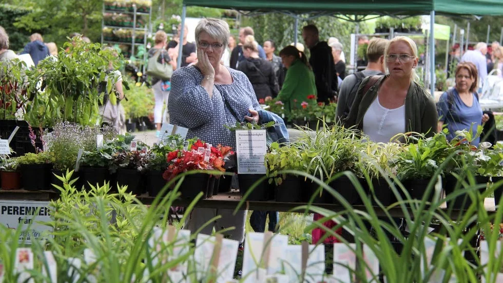 Merparten av besökarna vid Trädgårdsdagen i Enköping kommer från närområdet och har et tstort intresse för växter och mat, enligt den undersökning som gjordes bland besökarna förra året.