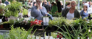 Därför besöker vi Trädgårdsdagen