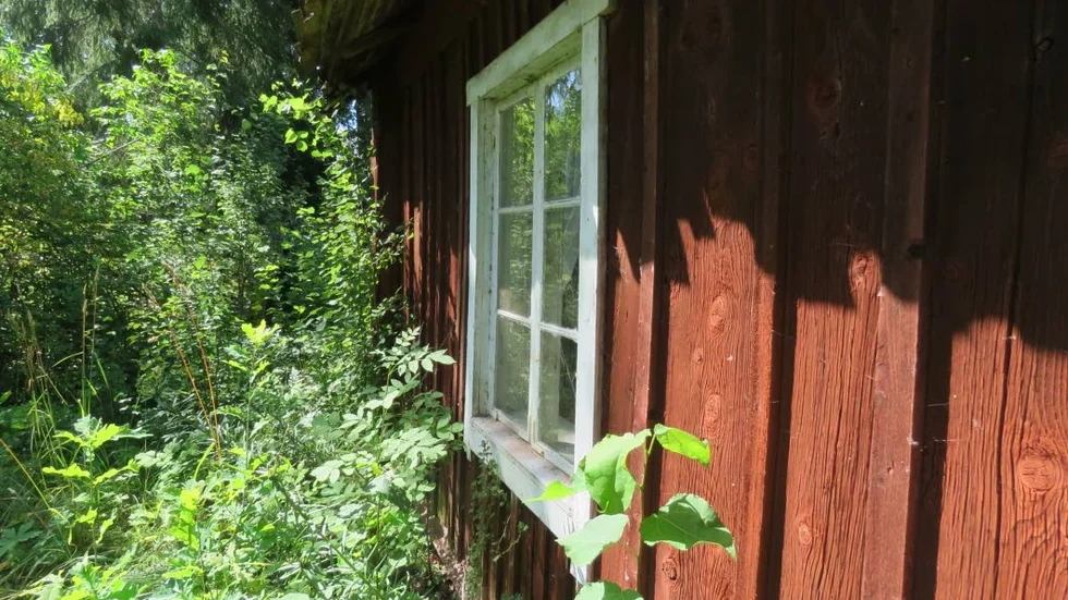 Växtligheten behöver tas bort ifall torpet ska kunna bevaras för eftervärlden.