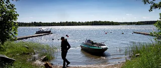 Grunda Östersjövikar hotspots för arter