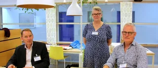 Lugnt i vallokalerna på mors dag