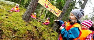 Oro för förskolans skog