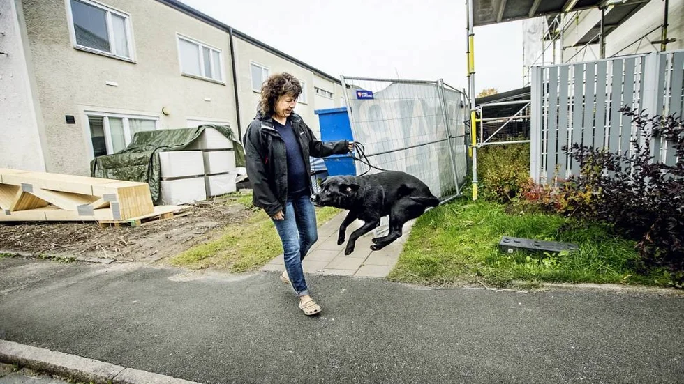 20141002 Hyresgäster får höjda hyror efter renovering, fler tvingas söka ökade bidrag, Viveca Thor med hunden Hoffa, på Kvarngärdet.
Foto : STAFFAN CLAESSON