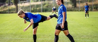 Här är höstens segerrecept