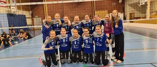 Starka insatsen – Norsjö pressade serieledarna till förlust: ”En riktig fjäder i hatten”