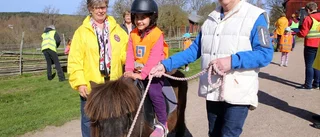 Barnen bland lamm, kaniner och ponnyhästar
