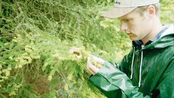 På mossen vid vägen till Knabbarp växer det mängder med Skvattram, konstaterar Erik Björn vid Skogsvårdsstyrelsen.