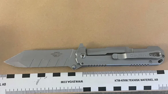 En 19-åring från Piteå står åtalad för stöld och brott mot knivlagen efter att ha stulit varor och burit kniv i en elektronikbutik. 