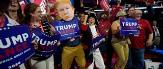 Hur kunde Donald Trump helt ta över Republikanerna? 