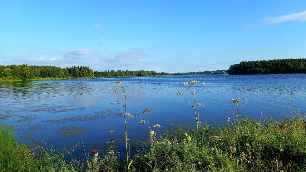 Läsarbild: En skön morgon vid Kalixälven. Bilden är tagen av Åke Hansson. Har du också en bild du vill dela med dig av? Mejla till familj@kuriren.com. Ange dina kontaktuppgifter och beskriv bilden kort.