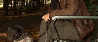 Doktor Glas stora kärlek käkar snorkråkor i smyg