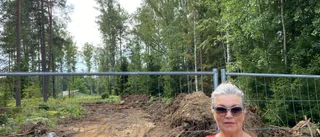 40 träd fälldes –snart kommer räkningen