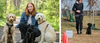TIPSEN: Så håller du din hund lugn på kaféet