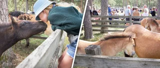 ”Vi väljer semestervecka efter det här”