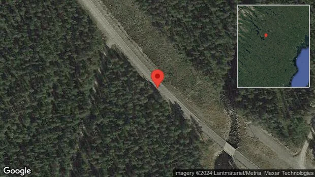 Varning för ren på vägen på väg 95