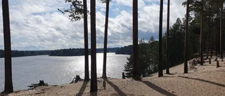 Läsarbilden: Niporna den 16 augusti